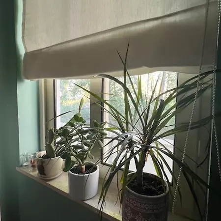 Apartment Margerita Seaside Golem (Tirana)